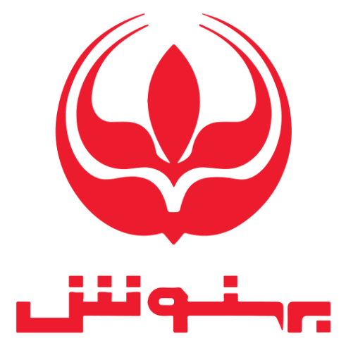 محسن نجفی